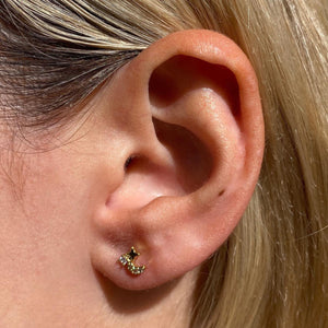 The Arlet Stud The Arlet Stud