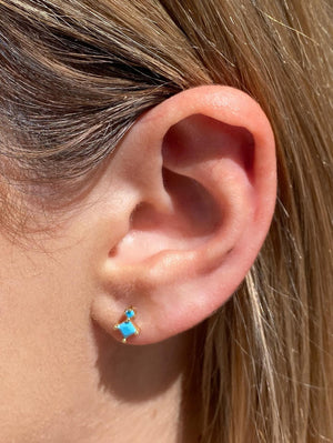 The Fern Stud The Fern Stud